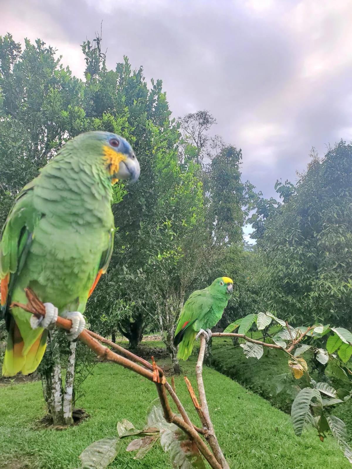 La Quinta De Andres Otel San Isidro  Dış mekan fotoğraf