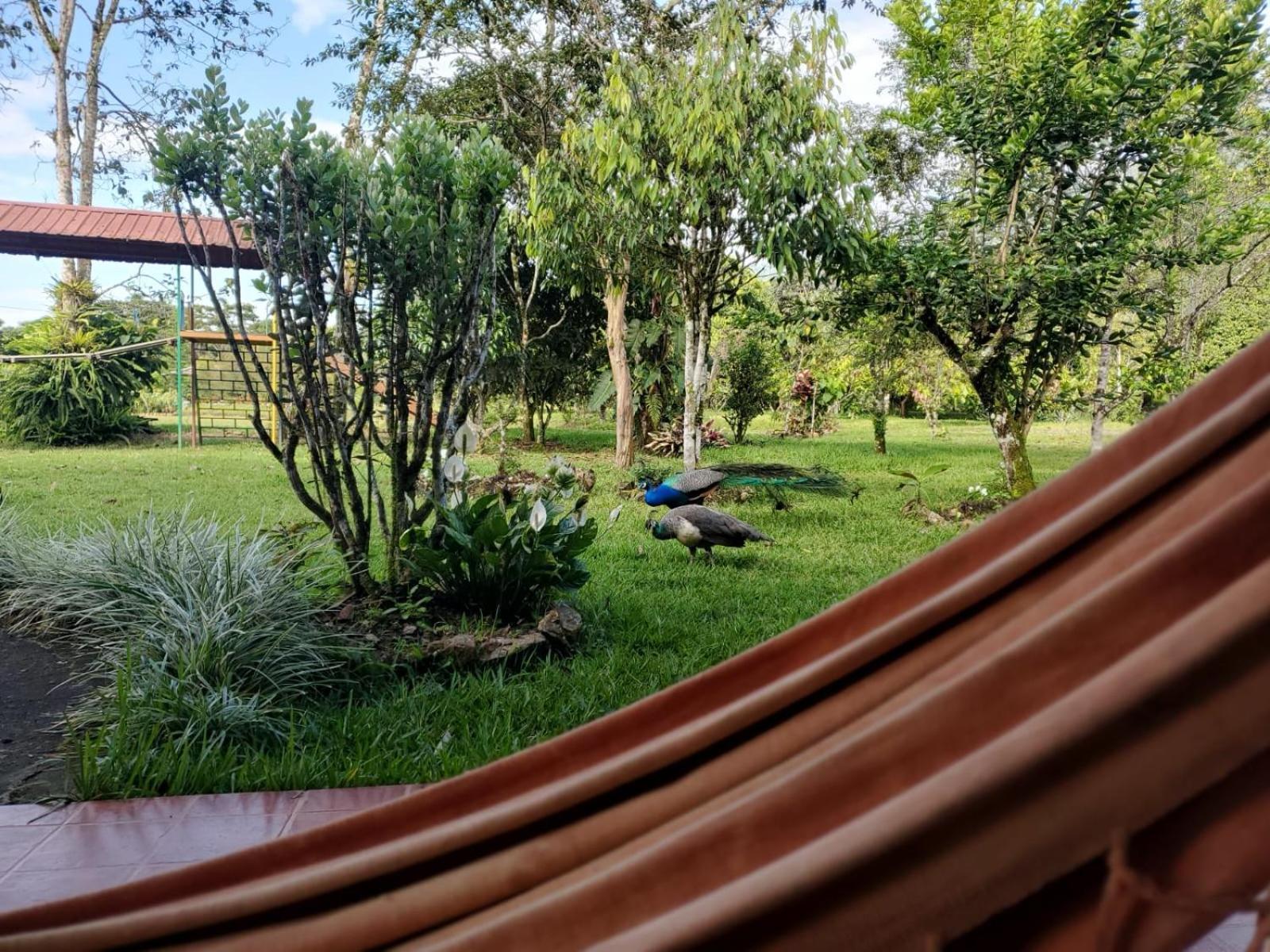 La Quinta De Andres Otel San Isidro  Dış mekan fotoğraf