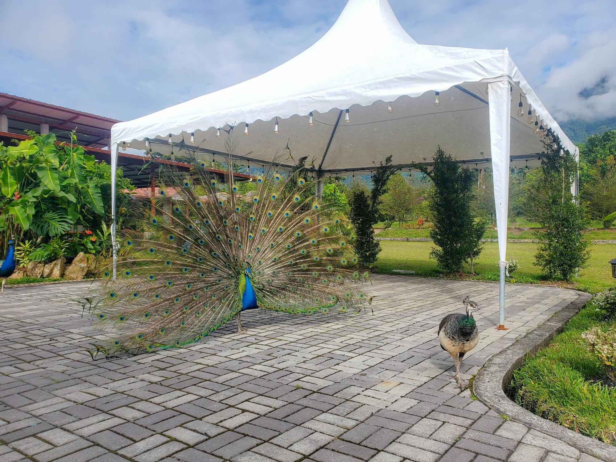 La Quinta De Andres Otel San Isidro  Dış mekan fotoğraf
