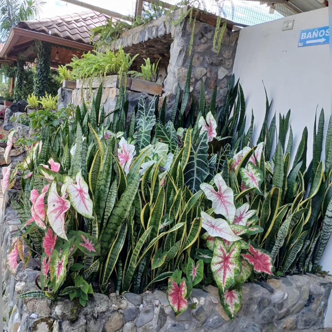 La Quinta De Andres Otel San Isidro  Dış mekan fotoğraf